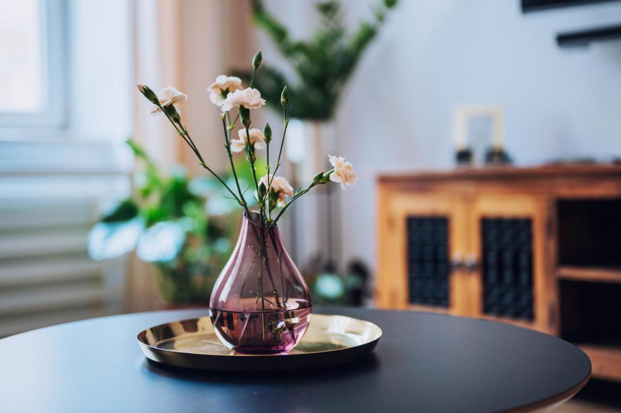 Szpitalna 20 Apartment Nr 8 Krakow Ngoại thất bức ảnh